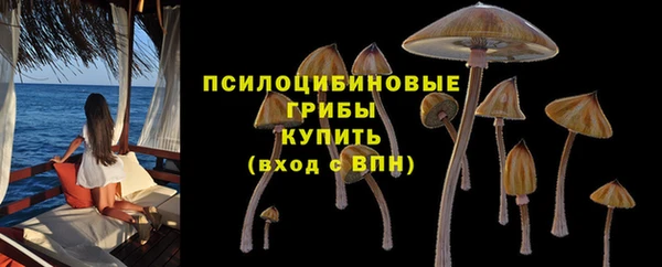 дурь Наволоки