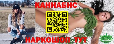 шишки Ирбит