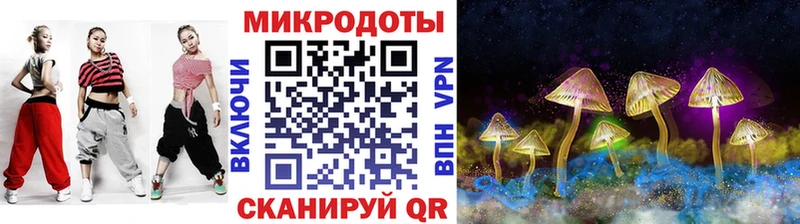 Псилоцибиновые грибы Cubensis  kraken   Курчалой 