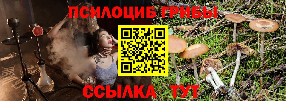 Псилоцибиновые грибы ЛСД Курчалой