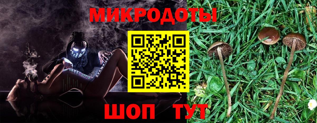 Галлюциногенные грибы GOLDEN TEACHER Курчалой