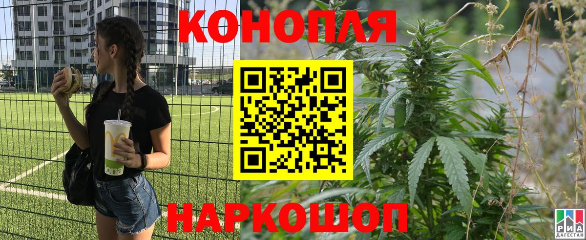 Марихуана ГИДРОПОН  Бошки Шишки Bruce Banner  Шишки марихуана OG Kush  Курчалой  Бошки марихуана план 